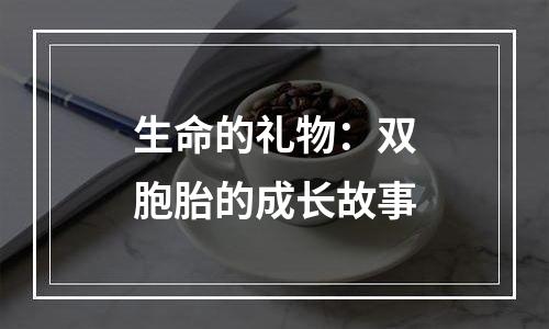 生命的礼物：双胞胎的成长故事