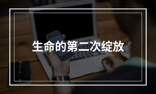 生命的第二次绽放