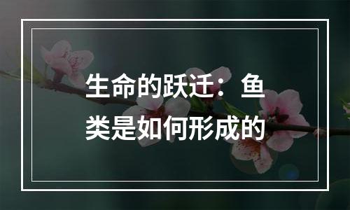 生命的跃迁：鱼类是如何形成的