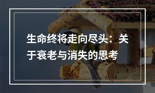 生命终将走向尽头：关于衰老与消失的思考