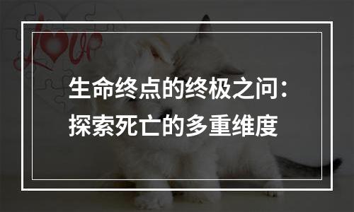 生命终点的终极之问：探索死亡的多重维度
