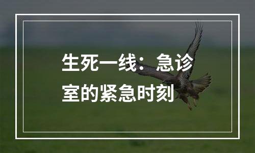 生死一线：急诊室的紧急时刻