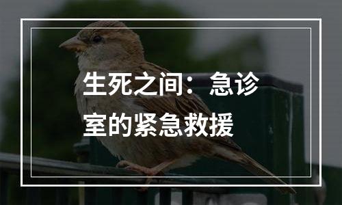 生死之间：急诊室的紧急救援