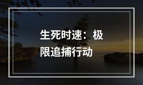 生死时速：极限追捕行动