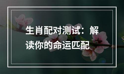 生肖配对测试：解读你的命运匹配
