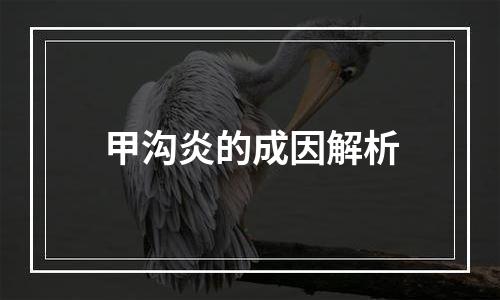 甲沟炎的成因解析