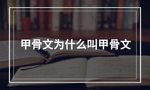 甲骨文为什么叫甲骨文