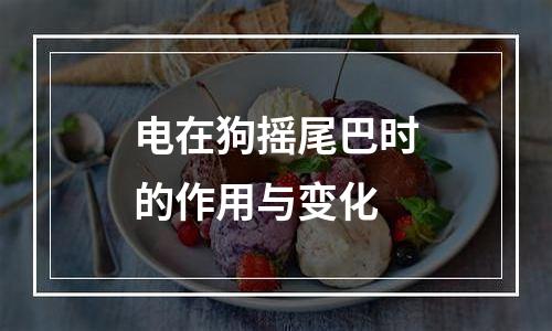 电在狗摇尾巴时的作用与变化