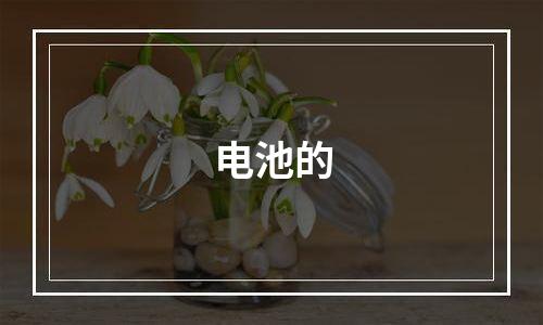 电池的