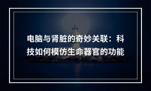 电脑与肾脏的奇妙关联：科技如何模仿生命器官的功能