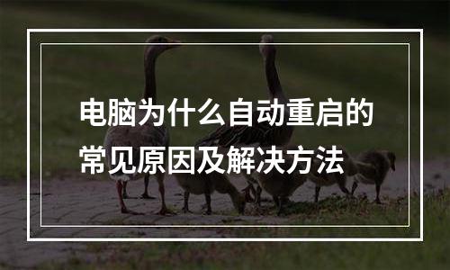 电脑为什么自动重启的常见原因及解决方法