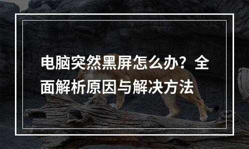电脑突然黑屏怎么办？全面解析原因与解决方法