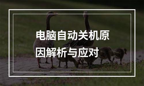 电脑自动关机原因解析与应对