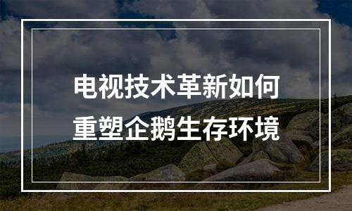 电视技术革新如何重塑企鹅生存环境