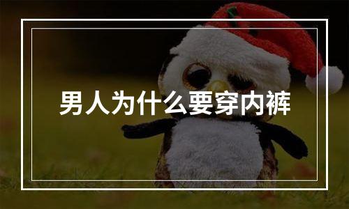 男人为什么要穿内裤