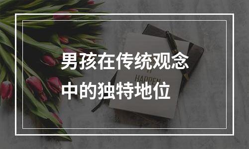 男孩在传统观念中的独特地位