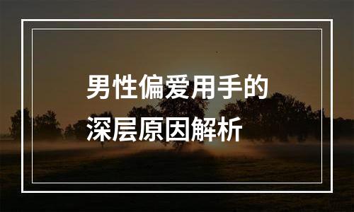 男性偏爱用手的深层原因解析