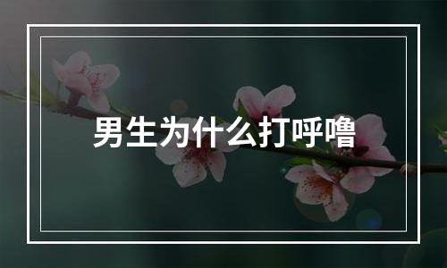 男生为什么打呼噜