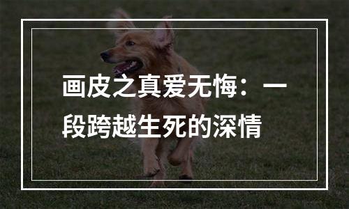 画皮之真爱无悔：一段跨越生死的深情