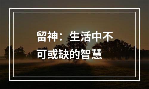 留神：生活中不可或缺的智慧