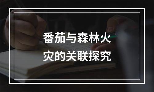 番茄与森林火灾的关联探究