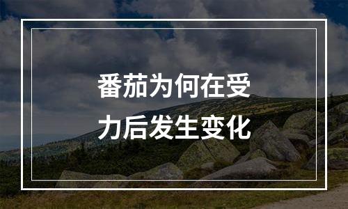 番茄为何在受力后发生变化