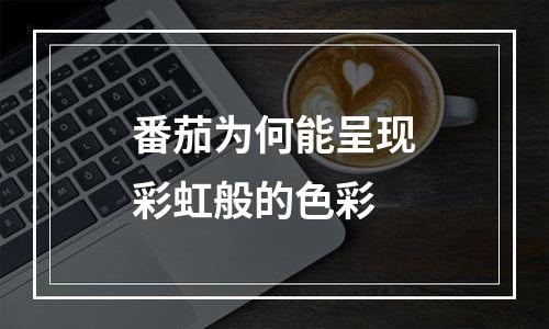 番茄为何能呈现彩虹般的色彩