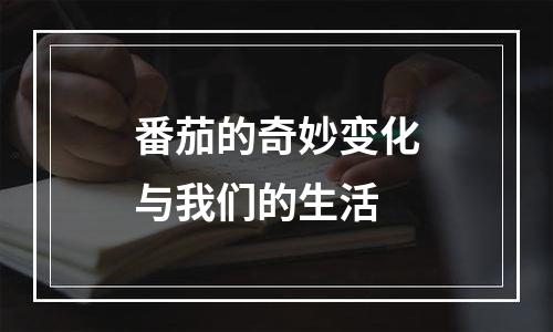 番茄的奇妙变化与我们的生活