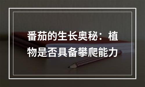 番茄的生长奥秘：植物是否具备攀爬能力