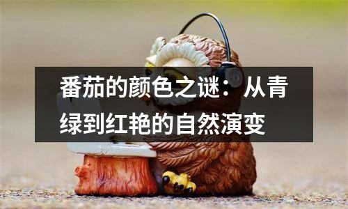 番茄的颜色之谜：从青绿到红艳的自然演变