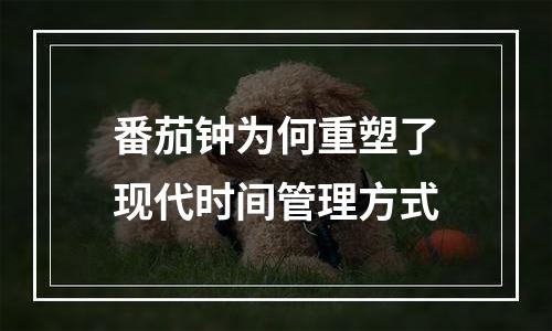 番茄钟为何重塑了现代时间管理方式