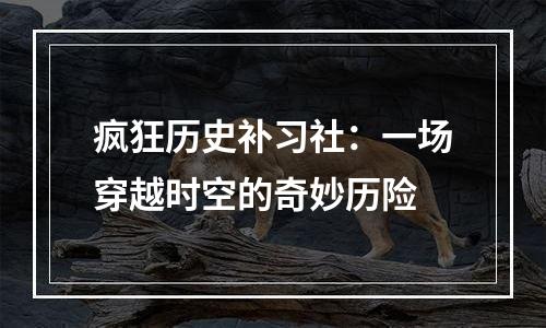 疯狂历史补习社：一场穿越时空的奇妙历险