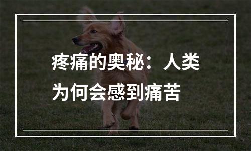 疼痛的奥秘：人类为何会感到痛苦