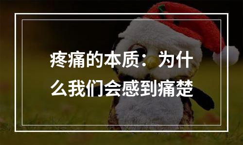 疼痛的本质：为什么我们会感到痛楚
