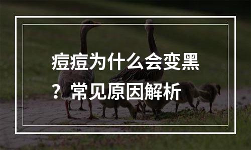 痘痘为什么会变黑？常见原因解析