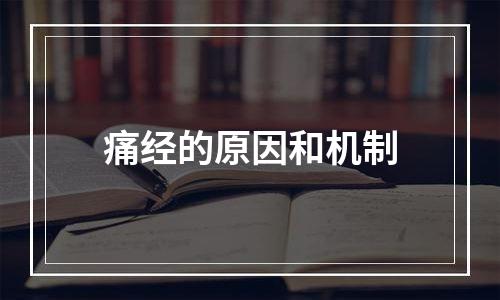 痛经的原因和机制