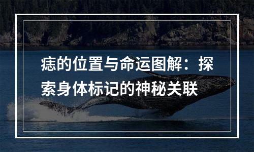 痣的位置与命运图解：探索身体标记的神秘关联