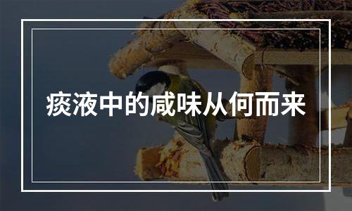 痰液中的咸味从何而来