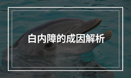 白内障的成因解析