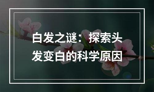 白发之谜：探索头发变白的科学原因