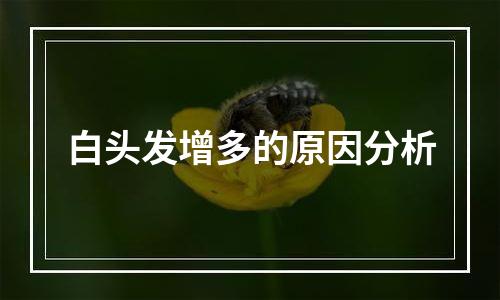 白头发增多的原因分析