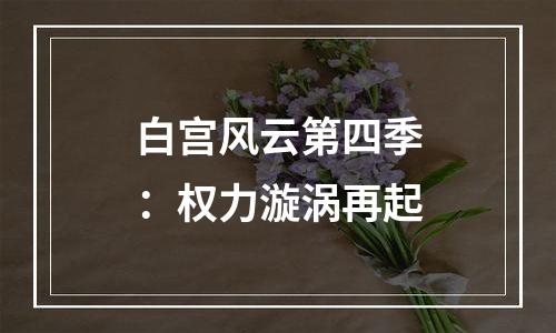 白宫风云第四季：权力漩涡再起
