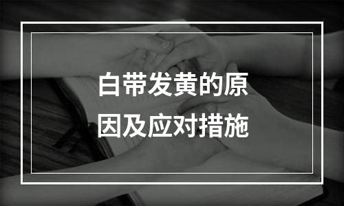 白带发黄的原因及应对措施
