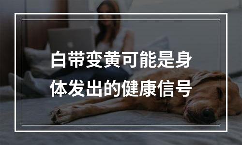 白带变黄可能是身体发出的健康信号