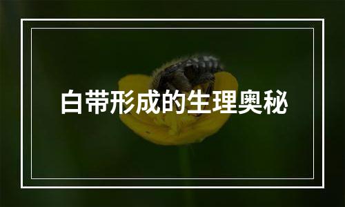 白带形成的生理奥秘