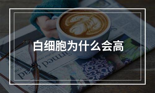 白细胞为什么会高