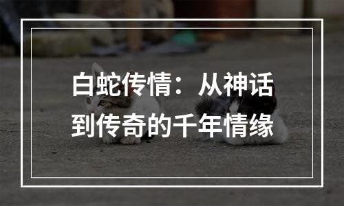 白蛇传情：从神话到传奇的千年情缘