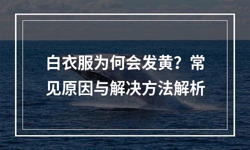 白衣服为何会发黄？常见原因与解决方法解析