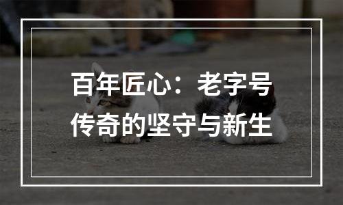 百年匠心：老字号传奇的坚守与新生