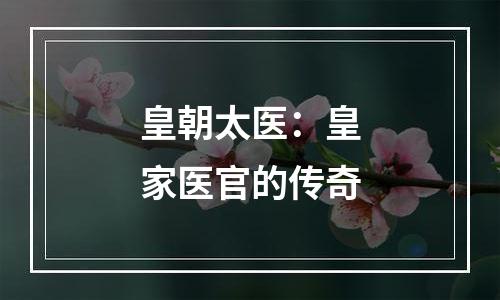 皇朝太医：皇家医官的传奇